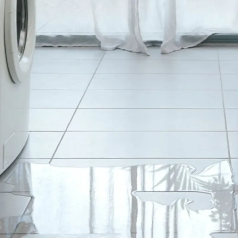 Appliance Leak Cleanup in Cricket, NC