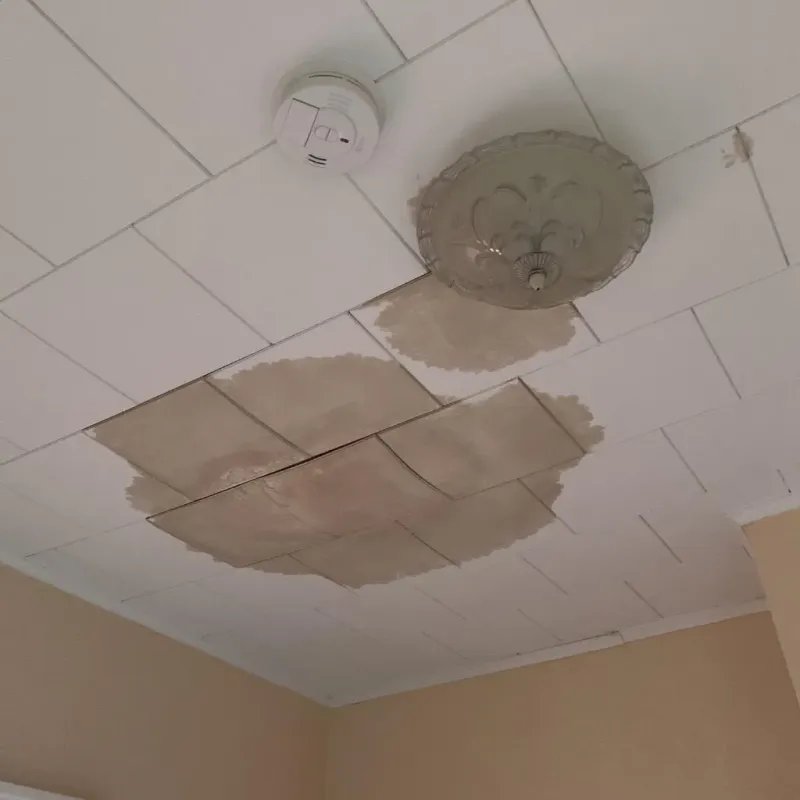 Ceiling Water Damage Repair in Cricket, NC