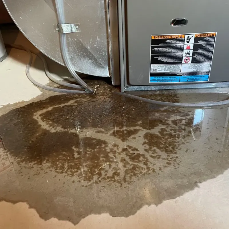 Pipe Burst and Leak Restoration in Cricket, NC
