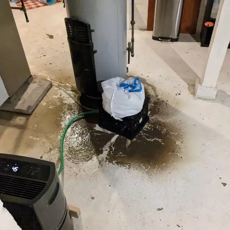 Sewage Backup Cleanup Service in Cricket, NC
